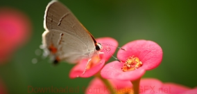 ddos攻击测试工具